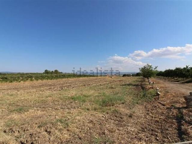Terreno in vendita di 50032 m²
