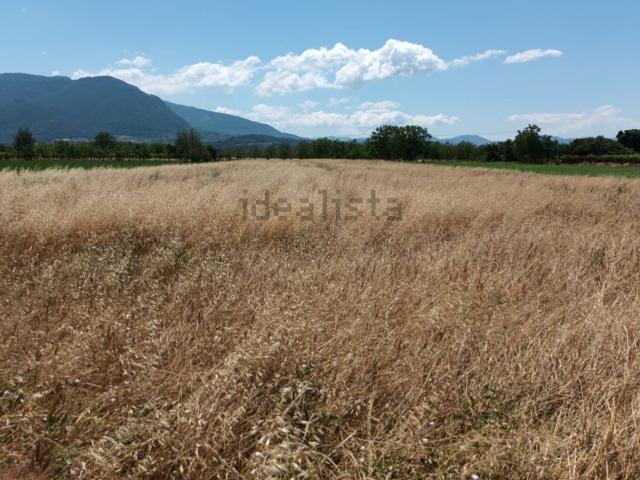 Terreno in vendita di 5005 m²