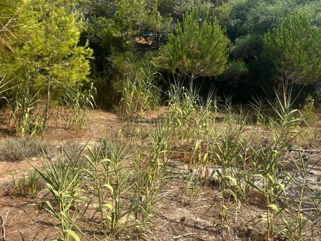 Terreno in vendita di 500 m² in Via L, 1