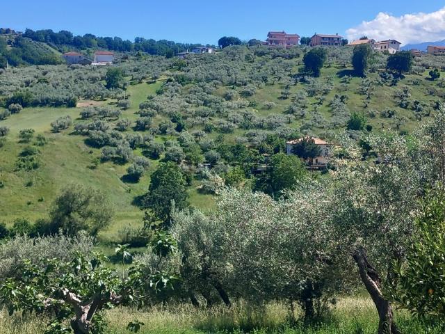 Terreno in vendita di 5170 m² in Via Piane