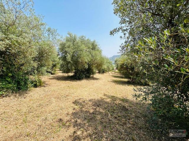 Terreno in vendita di 51000 m² in Via Filippo Turati
