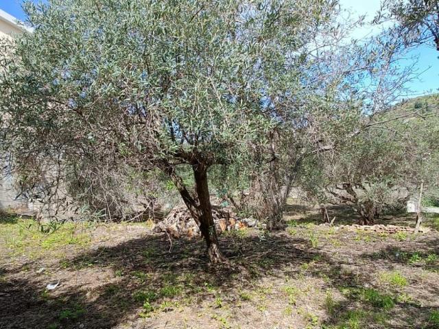 Terreno in vendita di 512 m² in Contrada Acquasanta
