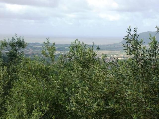 Terreno in vendita di 5130 m²