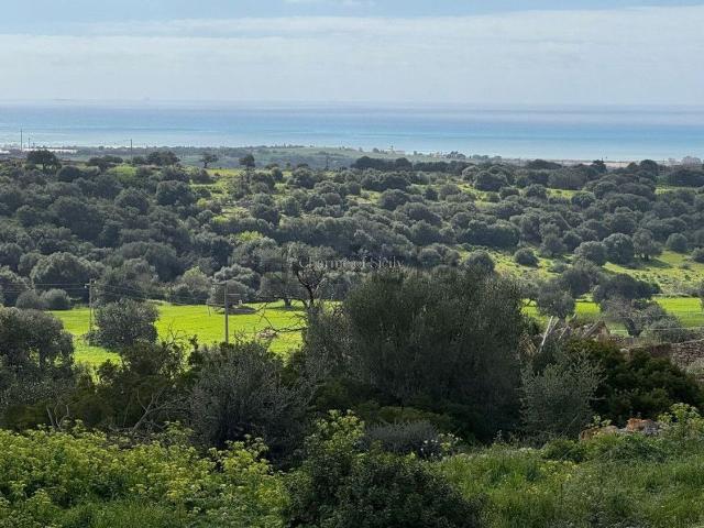 Terreno in vendita di 52832 m² in Strada Senza Nome
