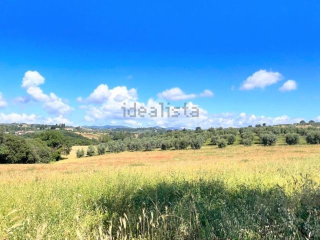 Terreno in vendita di 52000 m²