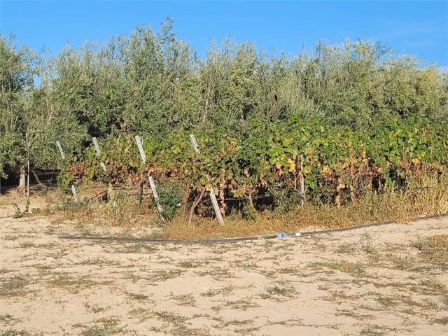Terreno in vendita di 52000 m² in Contrada Quarto
