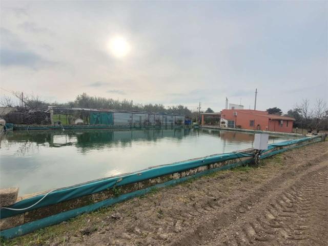 Terreno in vendita di 51000 m² in Strada Senza Nome