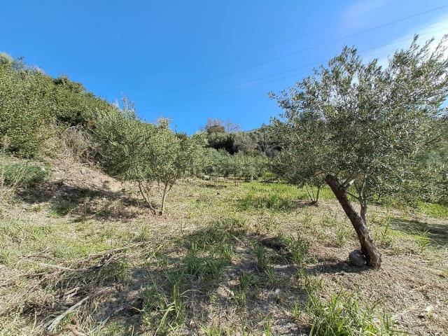 Terreno in vendita di 5200 m² in Contrada San Filippo