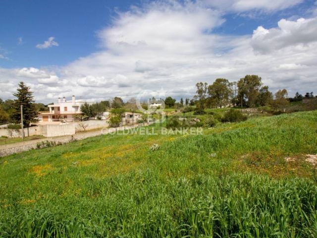 Terreno in vendita di 5200 m² in Via Paisiello