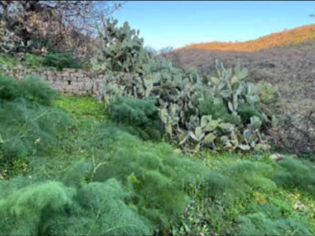 Terreno in vendita di 520 m² in Strada Provinciale 11