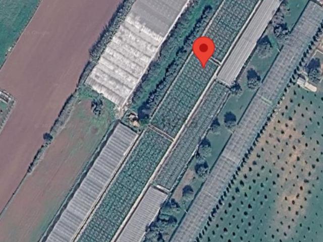 Terreno in vendita di 5380 m² in Via Pietro Annigoni