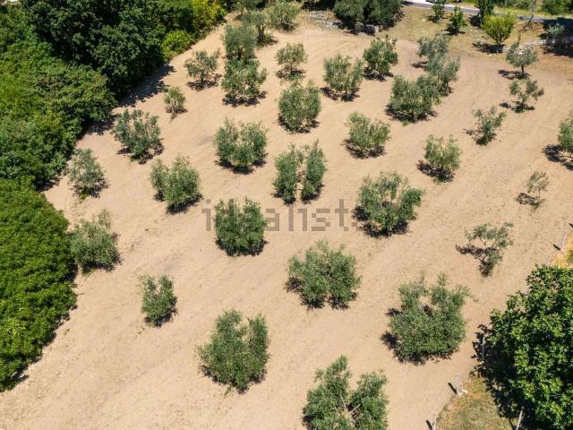Terreno in vendita di 5330 m² in Via Rocca