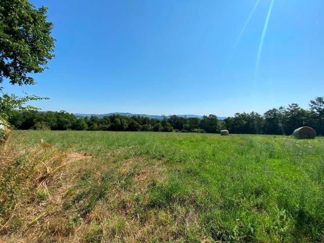Terreno in vendita di 5400 m² in Località Campone