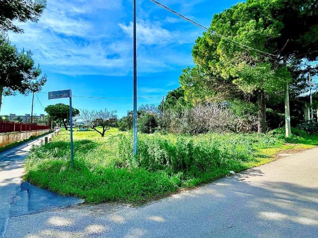 Terreno in vendita di 5400 m² in Via Fior di Papiro