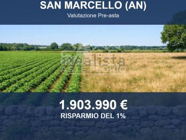 Terreno in vendita di 541139 m² in Via Serra, 78