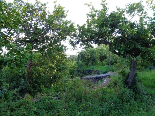 Terreno in vendita di 5421 m² in Via Vincenzo Grasso