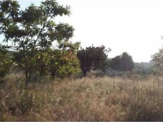 Terreno in vendita di 5430 m² in Località Fosso D&apos Olmo