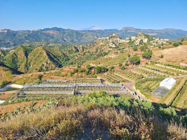 Terreno in vendita di 55000 m² in Contrada Pizzo Nico