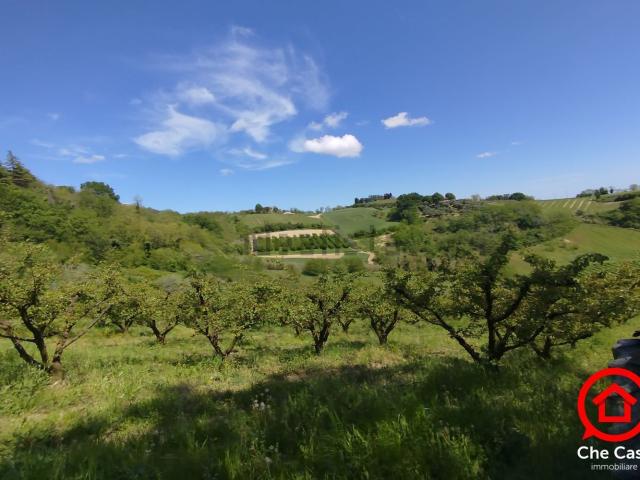 Terreno in vendita di 55791 m² in Via San Tomaso