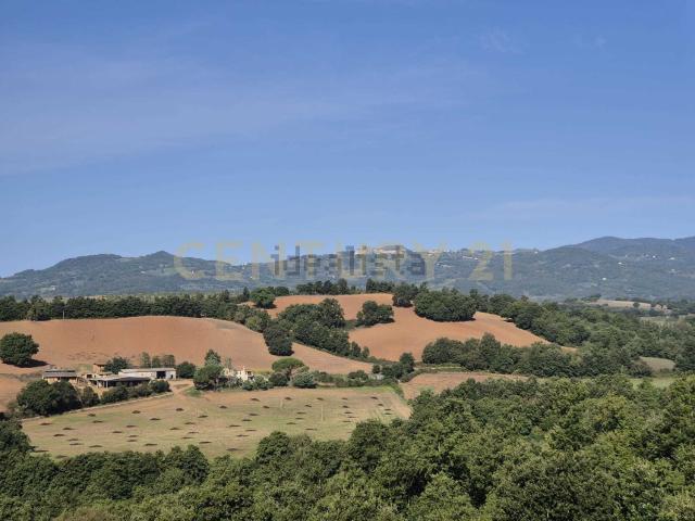 Terreno in vendita di 55835 m² in Località cornacchiaio
