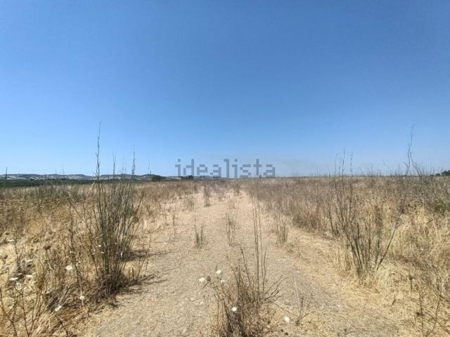 Terreno in vendita di 55000 m² in Contrada Saccollino snc