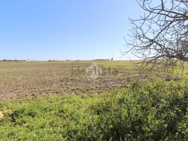 Terreno in vendita di 55000 m² in Strada Provinciale 50