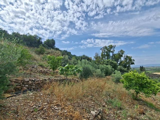 Terreno in vendita di 5500 m² in Contrada MILICUCCO