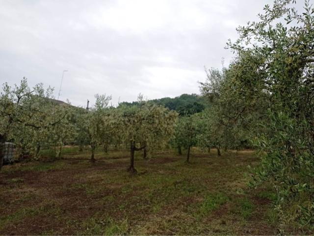 Terreno in vendita di 5500 m² in Via sirignano