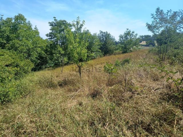 Terreno in vendita di 5670 m² in Via Valmigliaro