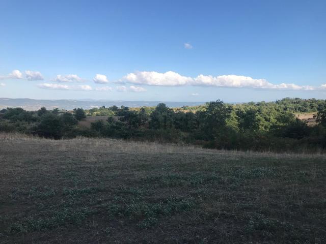 Terreno in vendita di 56000 m² in Strada Regionale 74 Maremmana
