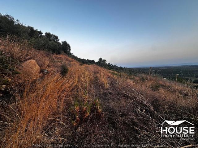 Terreno in vendita di 5600 m² in Contrada dammuso