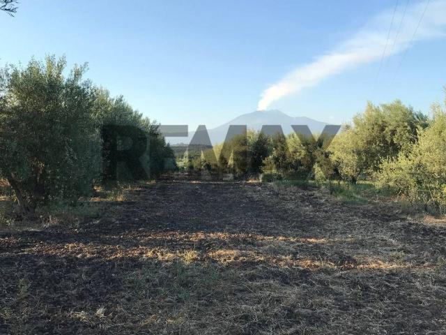 Terreno in vendita di 5600 m² in Contrada Davara