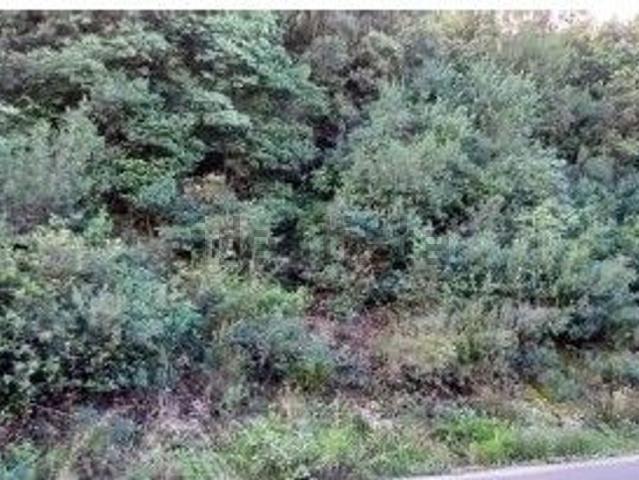 Terreno in vendita di 5600 m² in Strada provinciale 82