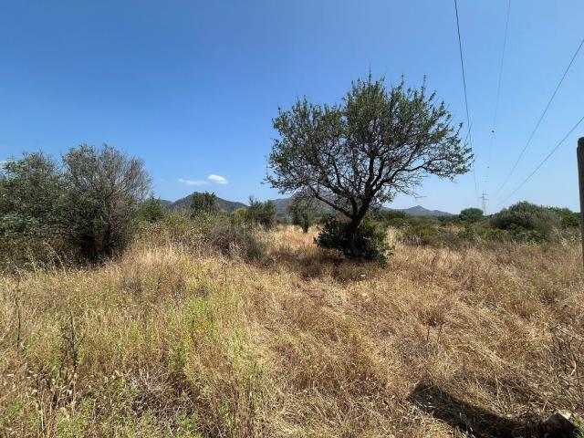 Terreno in vendita di 5600 m² in Via del Cisto