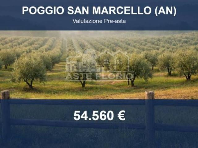 Terreno in vendita di 56199 m² in Contrada Gioncare