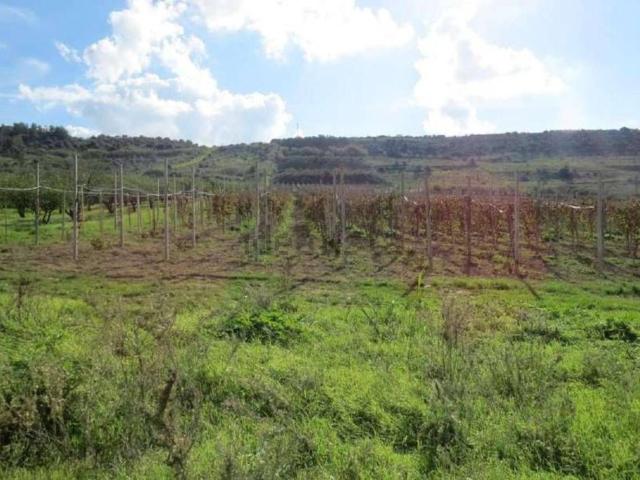 Terreno in vendita di 56300 m² in Strada Provinciale 2