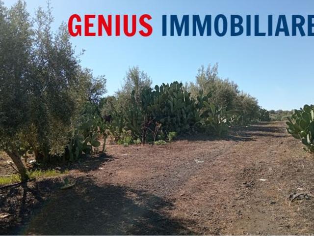 Terreno in vendita di 5747 m² in Via Scirfi