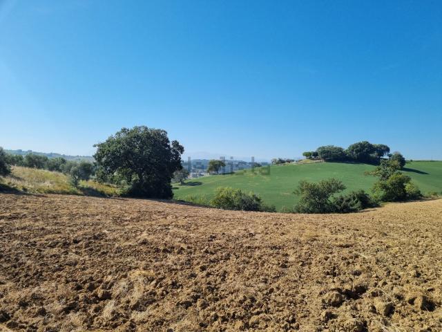 Terreno in vendita di 57970 m² in Contrada Piedicolle