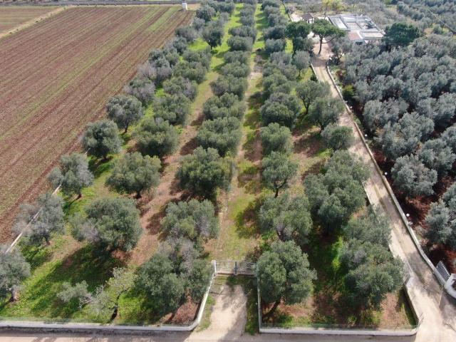 Terreno in vendita di 5706 m² in Contrada Pezze Morelli