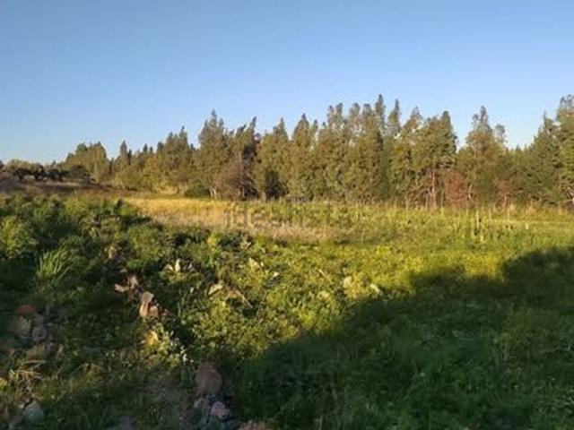 Terreno in vendita di 5850 m² in Contrada Gelsitello, 11
