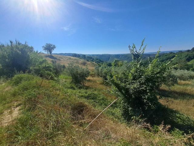 Terreno in vendita di 5860 m²