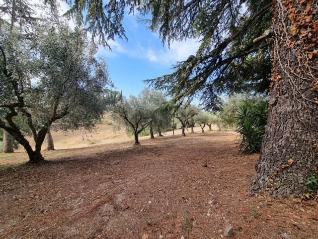 Terreno in vendita di 5880 m² in Contrada Casciano