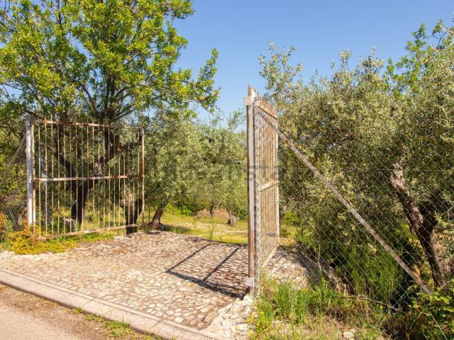 Terreno in vendita di 5896 m² in Strada Comunale Contrada Seggio