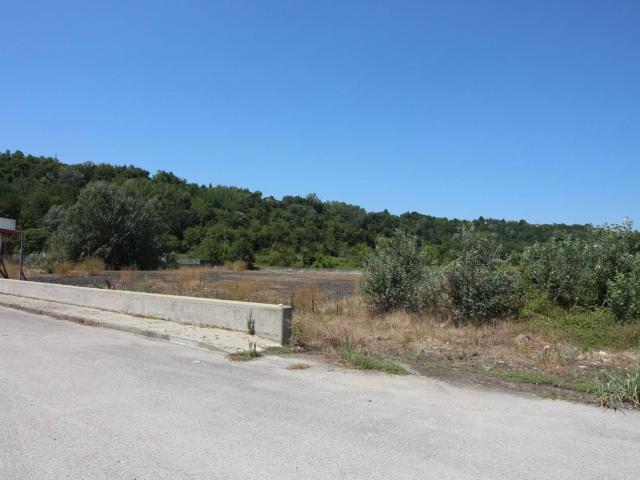 Terreno in vendita di 5822 m² in Strada Provinciale 159