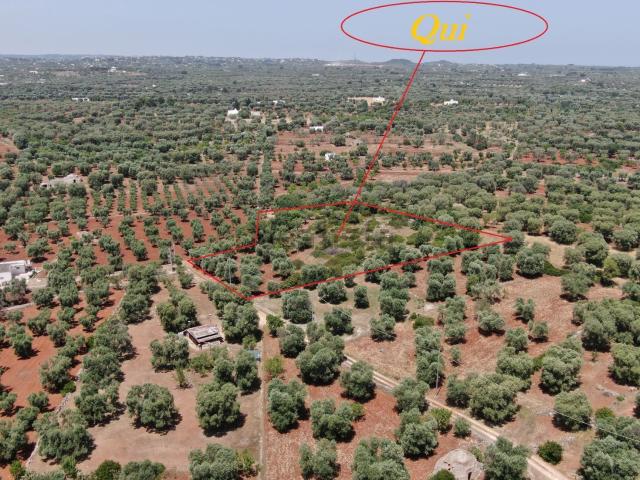 Terreno in vendita di 5991 m² in Via San Michele