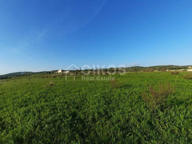 Terreno in vendita di 59000 m² in Strada Provinciale 51