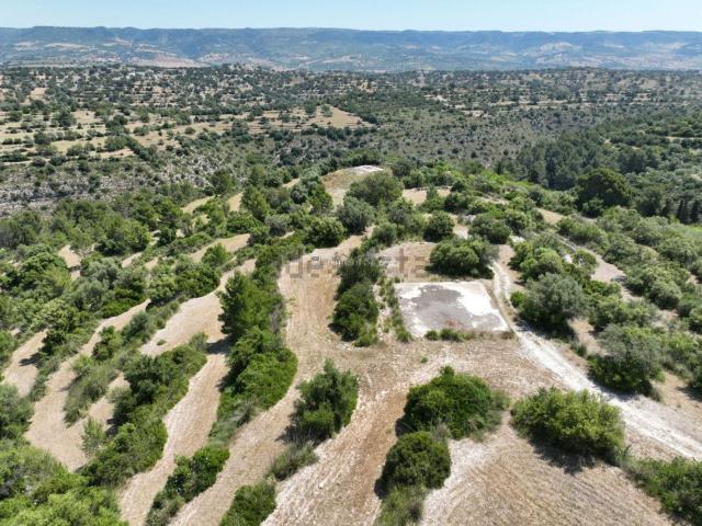 Terreno in vendita di 59000 m² in Strada Provinciale 79, 79
