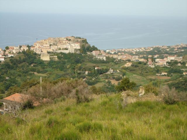 Terreno in vendita di 6050 m² in Contrada Olivella