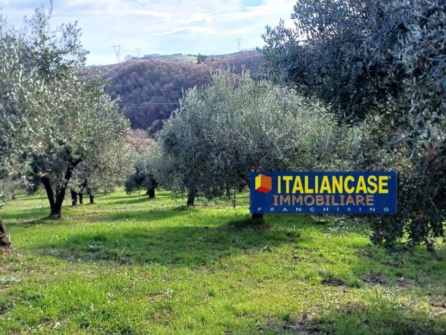 Terreno in vendita di 60780 m² in Contrada Villadegna, 8