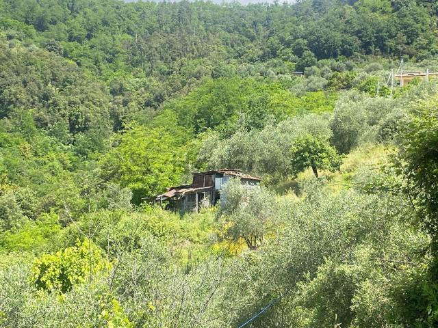 Terreno in vendita di 6080 m² in Via del Forno